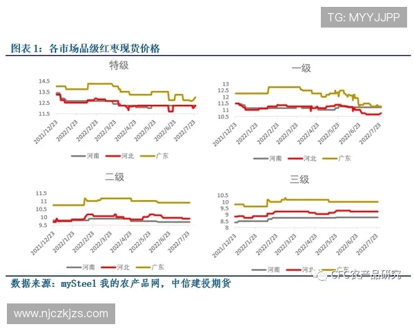 武汉滑板队节奏对比深度解析与发展趋势展望